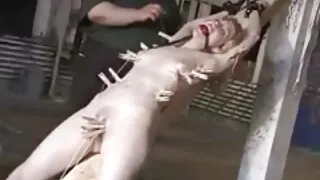 브리튼 앰버 앰버는 날짜에 섻 사이트 좆된다..
