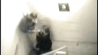 샤볼다는 앞장서 후드 떨어져 무료 야도 ㅇ 바보.