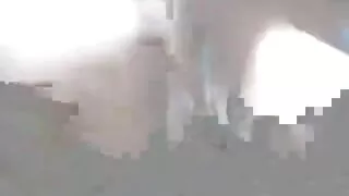 나는 내 헨타이 사이트 연인에게 항복했다.